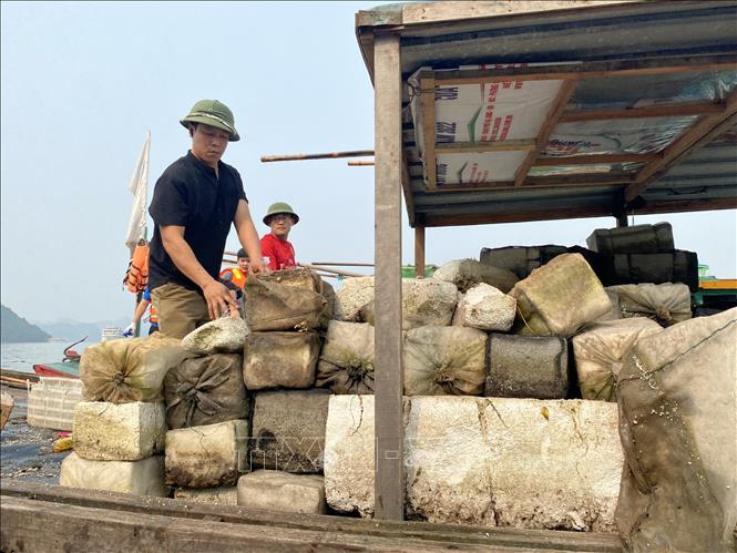 Trong ảnh: Lượng phao xốp trên vịnh Hạ Long được thu gom trong ngày 16/4. Ảnh: Thanh Vân-TTXVN