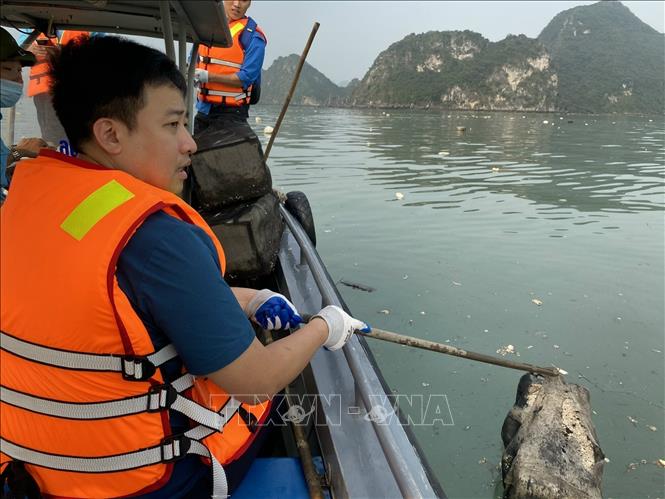 Trong ảnh: Các cán bộ Sở Tài nguyên và Môi trường ra quân dọn rác trên vịnh Hạ Long. Ảnh: Thanh Vân-TTXVN