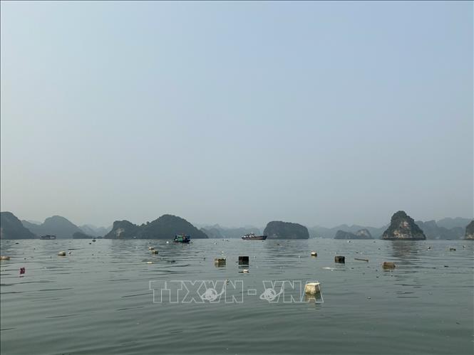 Trong ảnh: Lượng rác thải trên vịnh Hạ Long từ hoạt động nuôi trồng thủy sản trái phép đã giảm do các lực lượng đã ra quân trước đó. Ảnh: Thanh Vân-TTXVN