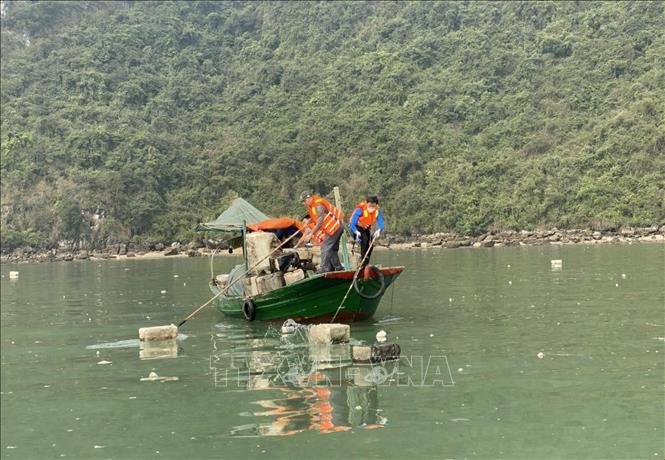 Trong ảnh: Các cán bộ Sở Tài nguyên và Môi trường vớt các loại rác, phao xốp trên vịnh Hạ Long. Ảnh: Thanh Vân -TTXVN