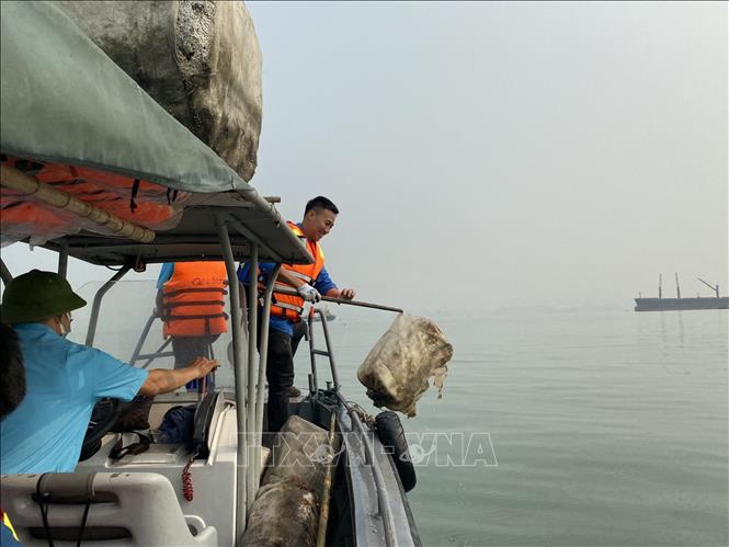 Trong ảnh: Trước đó nhiều lực lượng chức năng của thành phố Hạ Long, Ban Quản lý vịnh Hạ Long đã ra quân dọn dẹp rác trên vịnh do hoạt động tháo dỡ các bè nuôi trồng thủy sản trái phép xảy ra. Ảnh: Thanh Vân-TTXVN