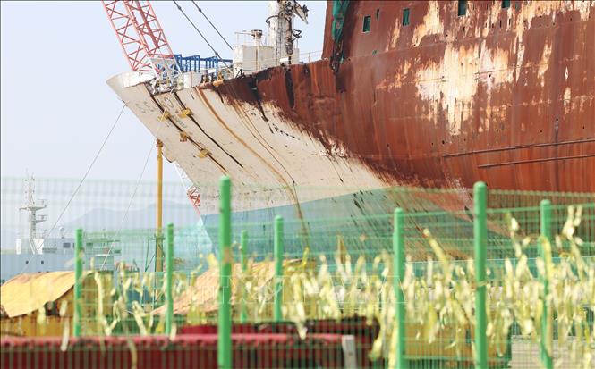 Ruy băng vàng được treo gần nơi đặt xác phà Sewol trong lễ tưởng niệm các nạn nhân trong vụ chìm phà Sewol 9 năm trước tại cảng Mokpo, Hàn Quốc, ngày 16/4/2023. Ảnh: YONHAP/TTXVN