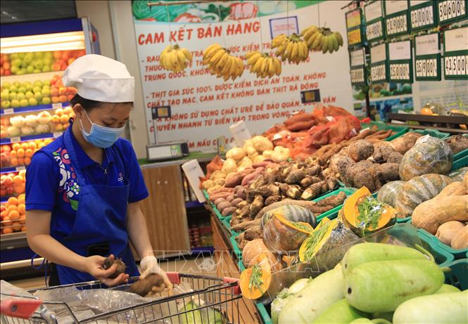 Trong ảnh: Nhân viên cửa hàng lựa chọn thực phẩm tươi sống đưa lên kệ bày bán ở một siêu thị thành phố Nha Trang. Ảnh: Phan Sáu - TTXVN