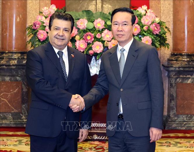 Chủ tịch nước Võ Văn Thưởng tiếp Đại sứ Chile Sergio Narea Guzmán. Ảnh: Thống Nhất – TTXVN