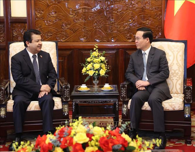 Chủ tịch nước Võ Văn Thưởng tiếp Đại sứ Chile Sergio Narea Guzmán. Ảnh: Thống Nhất – TTXVN