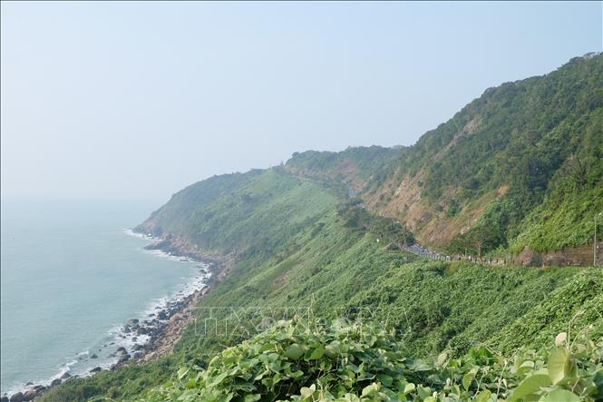 Trong ảnh: Bán đảo Sơn Trà. Ảnh: Văn Dũng - TTXVN
