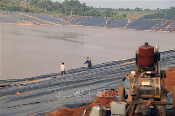 Trong ảnh: Gia cố, chống thấm thân đập thuộc khoang số 2, hồ bùn đỏ. Ảnh: Minh Hưng – TTXVN