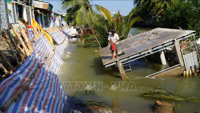 Mekong Delta faces increasing erosion - VNA Photos - Vietnam News ...