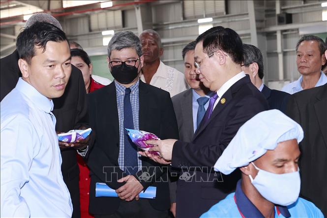 Chủ tịch Quốc hội Vương Đình Huệ và Chủ tịch Quốc hội Cuba Esteban Lazo Hernandez tham quan nhà máy bột giặt Suchel – TBV. Ảnh: Doãn Tấn - TTXVN