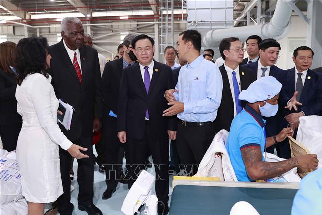 Chủ tịch Quốc hội Vương Đình Huệ và Chủ tịch Quốc hội Cuba Esteban Lazo Hernandez tham quan nhà máy bột giặt Suchel – TBV. Ảnh: Doãn Tấn - TTXVN