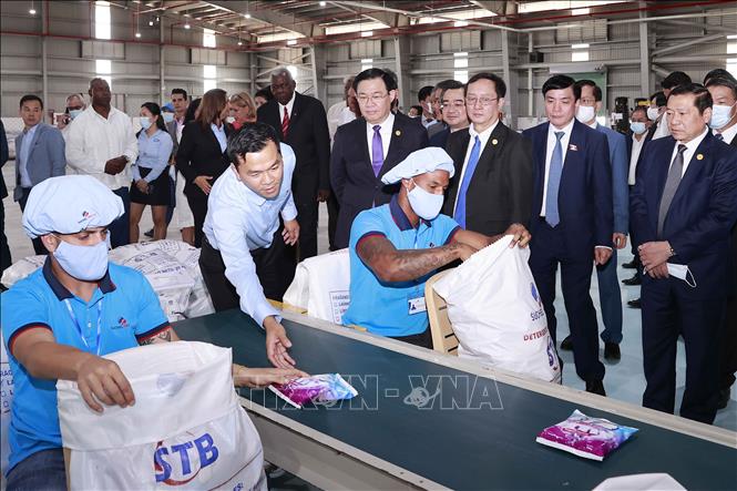 Chủ tịch Quốc hội Vương Đình Huệ và Chủ tịch Quốc hội Cuba Esteban Lazo Hernandez tham quan nhà máy bột giặt Suchel – TBV. Ảnh: Doãn Tấn - TTXVN