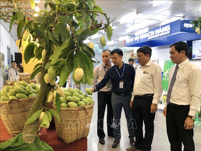 Trong ảnh: Đại diện trung tâm MM Mega Market An Phú, thành phố Thủ Đức, Thành phố Hồ Chí Minh và đại diện Sở Công Thương, Sở Nông nghiệp và Phát triển nông thôn tỉnh Đồng Tháp tham quan “Tuần hàng Xoài Đồng Tháp”, từ nay đến ngày 7/5/2023. Ảnh: Mỹ Phương - TTXVN.