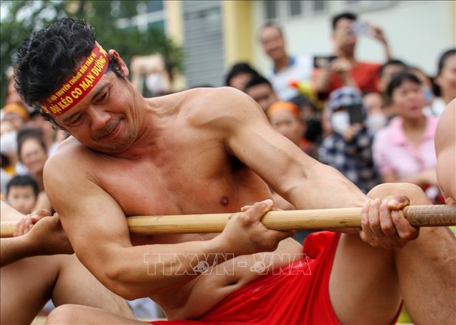 Khác với hội thi kéo co bình thường, vật sử dụng để kéo trong hội thi là cây song to và nhẵn dài khoảng 50m, được kéo qua một lỗ nhỏ trên cột trụ. Ảnh: Tuấn Đức - TTXVN