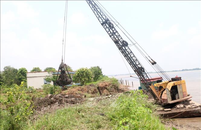 Phương tiện cơ giới đang gia cố khu vực sạt lở tại Cồn Thanh Long, ấp Phước Lý Nhì, xã Quới Thiện, huyện Vũng Liêm, tỉnh Vĩnh Long. Lê Thúy Hằng - TTXVN