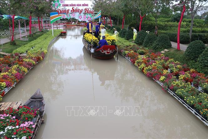 Trong ảnh: Khu du lịch cánh đồng hoa hồng ở phường Tân Quy Đông, thành phố Sa Đéc ( Đồng Tháp). Ảnh: Nguyễn Văn Trí - TTXVN

