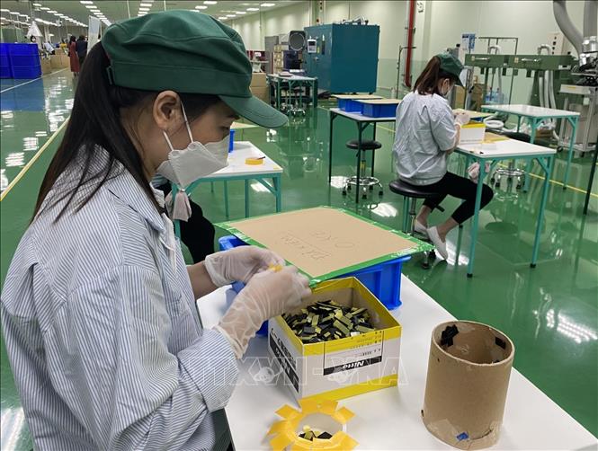 Production at the Japanese-invested Tsuchiya Tsco Co. Ltd in the northern province of Vinh Phuc. VNA Photo: Nguyễn Thảo