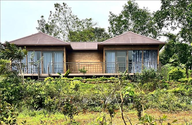 Bungalow trong Khu giáo dục trải nghiệm Trưng Vương Garden xây dựng trái phép trên đất nông nghiệp. Ảnh: Nguyên Linh-TTXVN