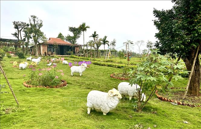 Nhiều công trình xây dựng trái phép trên đất nông nghiệp bị UBND huyện Gio Linh xử phạt vi phạm hành chính, buộc phải tháo dỡ, khôi phục lại tình trạng ban đầu của đất trước khi vi phạm. Ảnh: Nguyên Linh-TTXVN