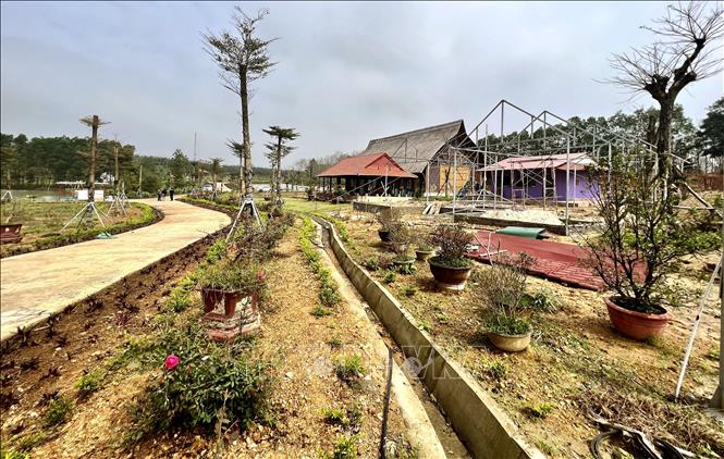 Nhiều công trình xây dựng trái phép trên đất nông nghiệp bị UBND huyện Gio Linh xử phạt vi phạm hành chính, buộc phải tháo dỡ, khôi phục lại tình trạng ban đầu của đất trước khi vi phạm. Ảnh: Nguyên Linh-TTXVN