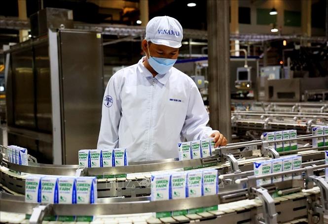 Công nhân vận hành dây chuyền sản xuất sữa tươi Vinamilk từ trang trại xanh, thân thiện với môi trường tại Nhà máy sản xuất sữa Vinamilk (Khu công nghiệp Mỹ Phước, thị xã Bến Cát, Bình Dương). Ảnh: Hồng Đạt - TTXVN