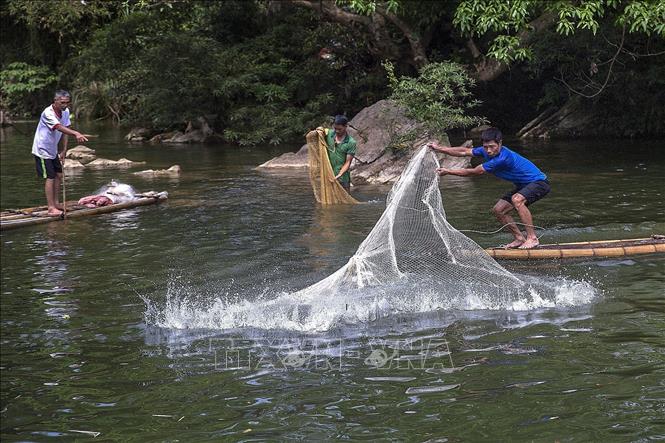 Trong ảnh: Người dân tung lưới bắt cá trong lễ hội. Ảnh: Trọng Đạt - TTXVN