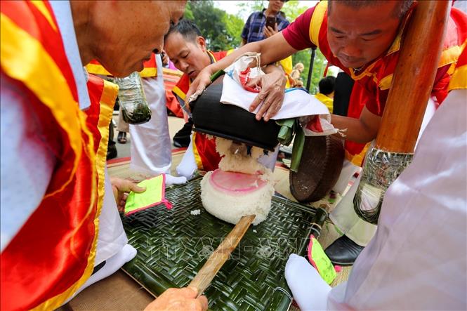 Đội thi huyện Tam Nông chuẩn bị giã xôi vừa nấu. Ảnh: Tuấn Đức - TTXVN