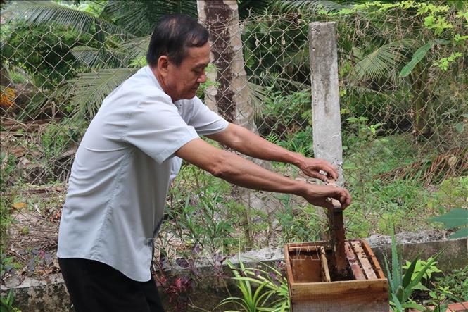 Trong ảnh: Ông Nguyễn Văn Ngàn chăm sóc đàn ong mật trong vườn nhà. Ảnh: Minh Trí - TTXVN
