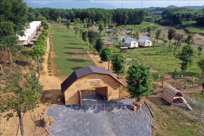 Trong ảnh: Một góc nông trại Bana Rita Glamping Farm vừa được đưa vào hoạt động phục vụ du khách dịp lễ năm nay. Ảnh: Trần Lê Lâm - TTXVN 
