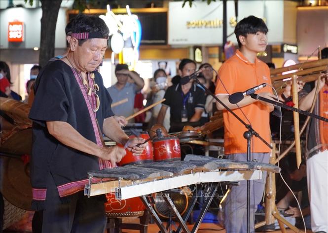 Màn trình diễn nhạc cụ dân tộc đến từ đoàn Thái Hải. Ảnh: Thu Hương - TTXVN