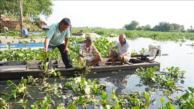 Ông Ngô Tùng Minh, Trưởng ấp Trường Ân, xã Trường Đông, thị xã Hòa Thành, tỉnh Tây Ninh (bìa trái) cùng người dân ghi nhận mức độ ô nhiễm trên sông Vàm Cỏ Đông. Ảnh: Thanh Tân - TTXVN
