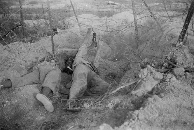 Các chiến sĩ công binh cắt hàng rào dây thép gai để mở đường cho lực lượng xung kích tấn công tiêu diệt cứ điểm 206, thuộc tuyến phòng ngự ngoại vi bảo vệ khu Trung tâm tập đoàn cứ điểm và sân bay Mường Thanh. Ảnh: Tư liệu TTXVN