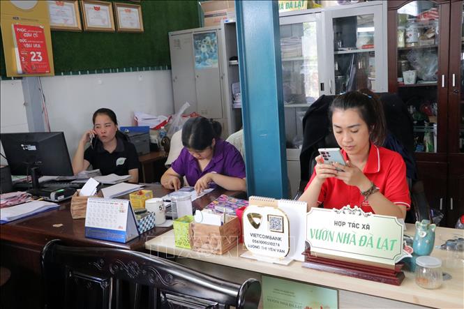Trong ảnh: Hợp tác xã Vườn Nhà ở Xuân Thành, xã Xuân Thọ, bán hàng qua các kênh thông tin xã hội số. Ảnh: Chu Quốc Hùng - TTXVN
