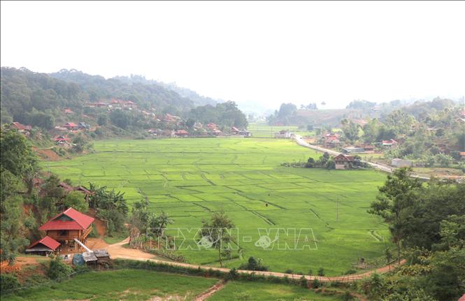 Vựa lúa nước hai vụ của người dân bản Kéo và bản Nghịu (xã Pá Khoang, thành phố Điện Biên Phủ, tỉnh Điện Biên). Ảnh: Xuân Tiến – TTXVN 