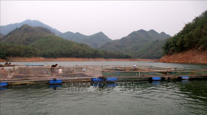 Caged-fish farming on Trung Son hydroelectric reservoir in Quan Hoa district. VNA Photo: Nguyễn Nam