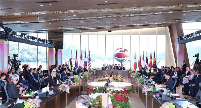 A view of the plenary session on May 10. VNA Photo: Dương Giang
