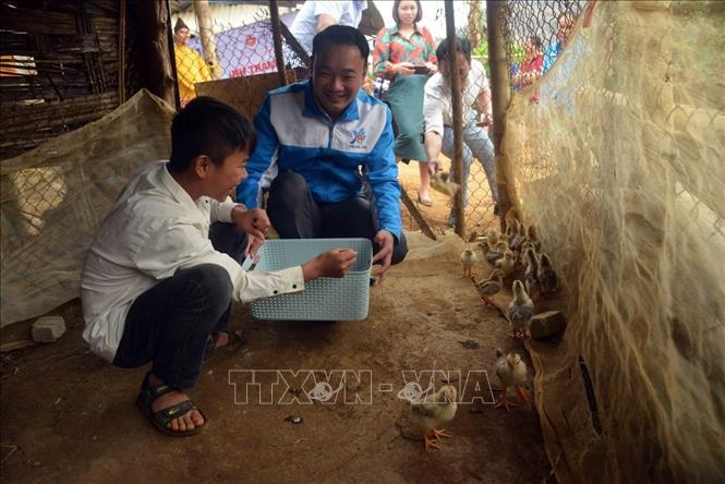 Phó Bí thư Thường trực Tỉnh đoàn, chủ tịch Hội Liên hiệp Thanh niên Việt Nam tỉnh Sơn La Nguyễn Duy Dũng trao tặng “Đàn gà Khăn quàng đỏ” cho em Hà Phương Túng bản Muông, xã Chiềng Ngần, thành phố Sơn La. Ảnh: Quang Quyết - TTXVN
