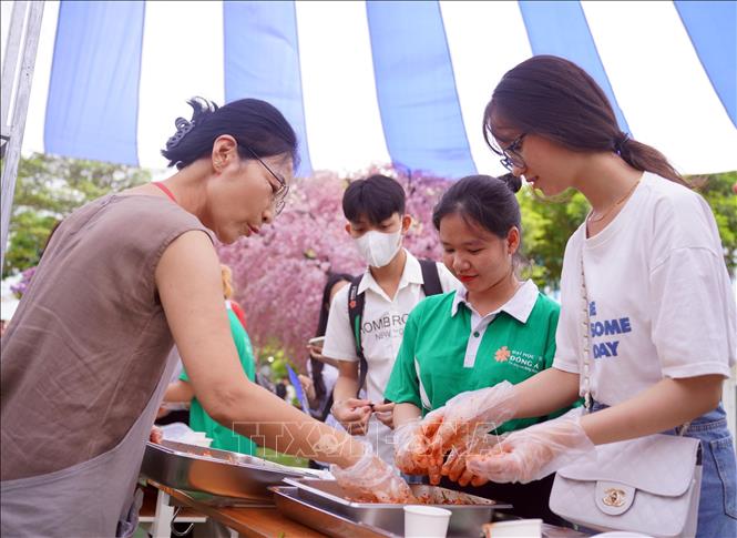 Trong ảnh: Chuyên gia ẩm thực Hàn Quốc hướng dẫn làm món ăn Hàn cho sinh viên Việt Nam tại lễ hội. Ảnh: TTXVN phát 