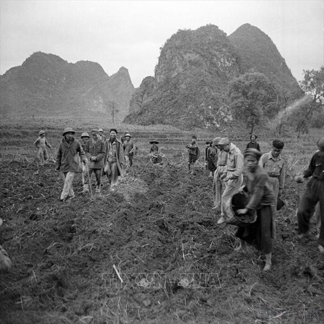 Chủ tịch Hồ Chí Minh thăm nông dân Bắc Kạn đang gieo cấy vụ Đông xuân năm 1950 - 1951. Ảnh: TTXVN