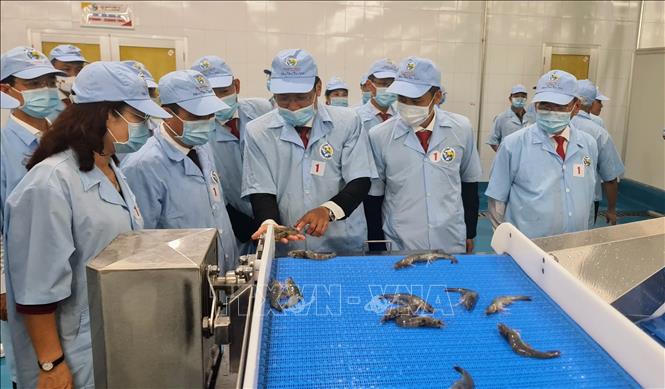 Trong ảnh: Lãnh đạo Tỉnh ủy, UBND tỉnh Bạc Liêu tham quan Nhà máy chế biến thuỷ sản Việt Úc. Ảnh: TTXVN phát