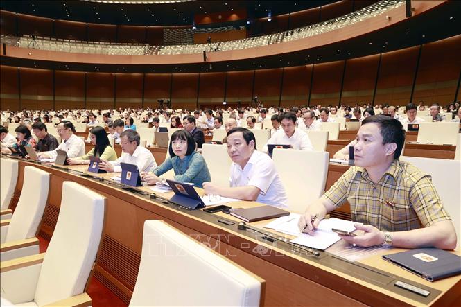 Đoàn đại biểu Quốc hội tỉnh Hải Dương dự phiên họp. Ảnh: Doãn Tấn - TTXVN