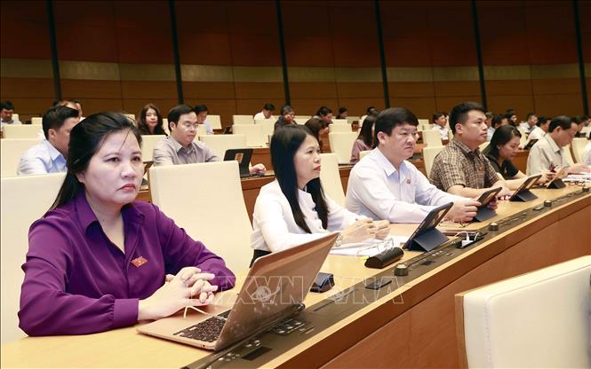 Đoàn đại biểu Quốc hội tỉnh Quảng Ngãi dự phiên họp. Ảnh: Doãn Tấn - TTXVN
