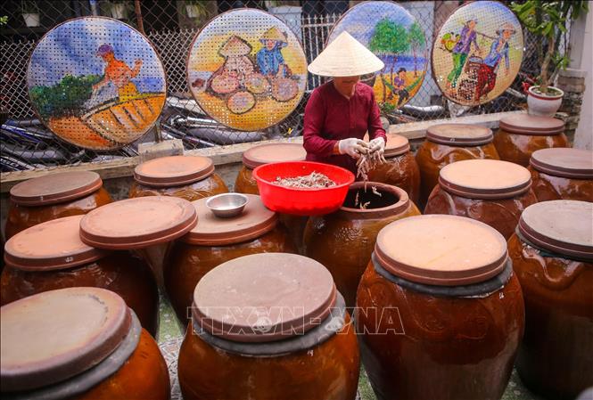 Villagers put anchovy and salt in terra-cotta jars and keep for 12-18 months. VNA Photo: Trần Lê Lâm