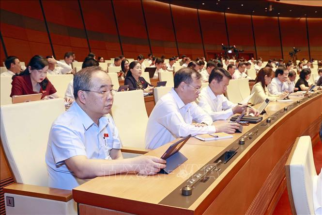 Đoàn đại biểu Quốc hội tỉnh Nam Định dự phiên họp. Ảnh: Doãn Tấn - TTXVN