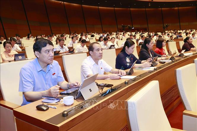 Đoàn đại biểu Quốc hội tỉnh Tuyên Quang dự phiên họp. Ảnh: Doãn Tấn - TTXVN