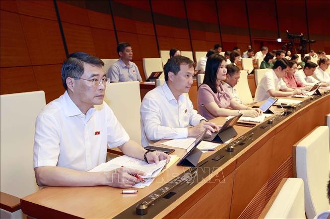 Đoàn đại biểu Quốc hội tỉnh Hà Tĩnh dự phiên họp. Ảnh: Doãn Tấn - TTXVN