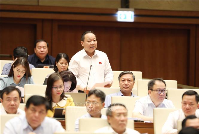 Đại biểu Quốc hội tỉnh Hà Giang Tráng An Dương phát biểu tại phiên họp. Ảnh: Phương Hoa - TTXVN