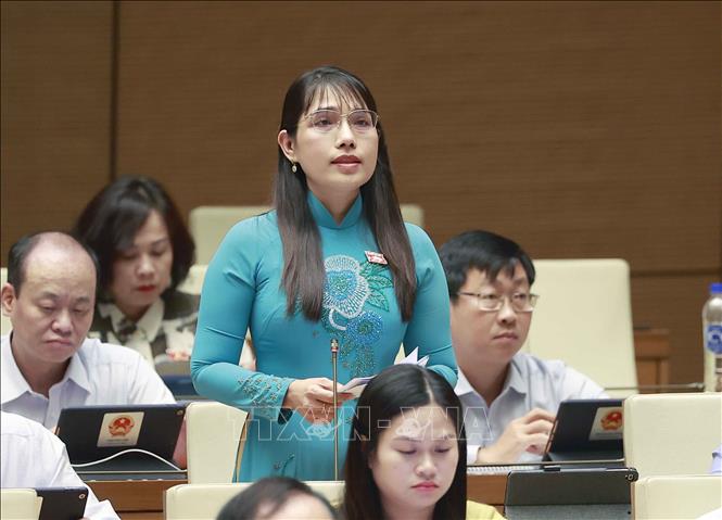 Đại biểu Quốc hội tỉnh Kiên Giang Châu Quỳnh Giao phát biểu. Ảnh: Doãn Tấn - TTXVN
