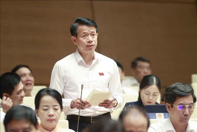 Đại biểu Quốc hội tỉnh Nam Định Nguyễn Hải Dũng phát biểu. Ảnh: Doãn Tấn - TTXVN