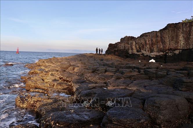Thach Ky Dieu Tau has similarities with the famous Da Dia reef in Phu Yen province. VNA Photo: Phạm Cường