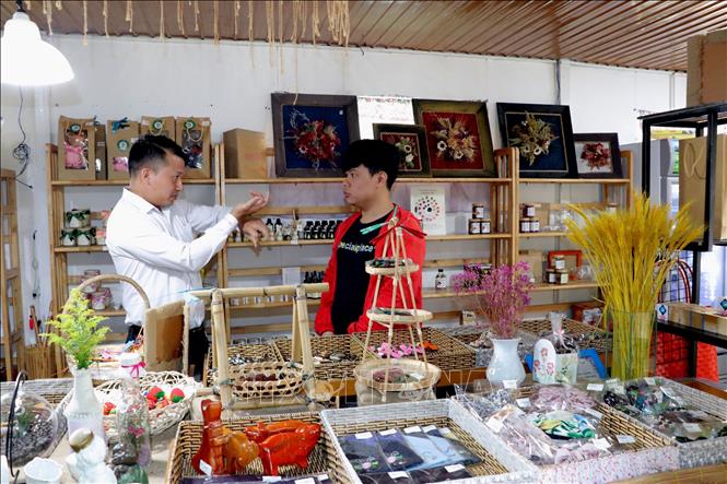 Anh Võ Anh Tuấn (trái), người đã xây dựng quán cà phê đặc biệt này trao đổi cách bài trí gian bán hàng lưu niệm với nhân viên. Ảnh: Chu Quốc Hùng-TTXVN
